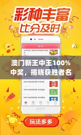 澳门王中王免费网站|涵盖了广泛的解释落实方法_研究款.0.871
