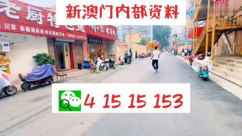 2024澳门天天开好彩大全2024|综合解答解释落实_远程版.8.854